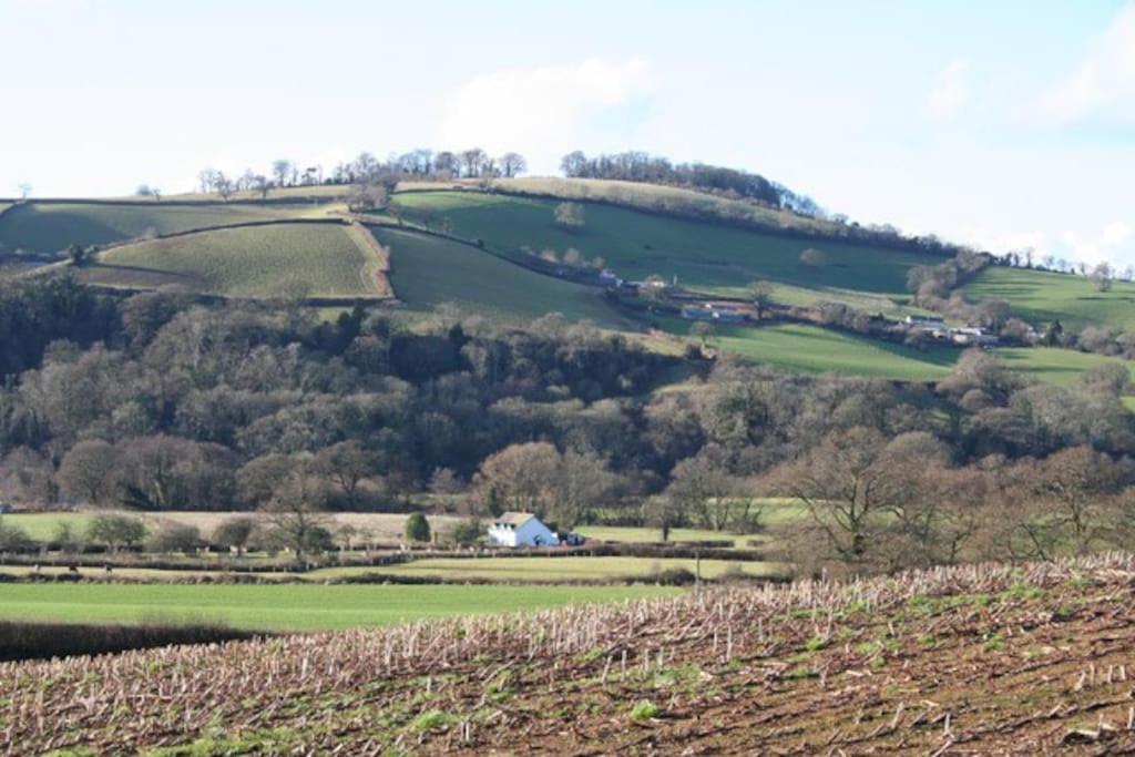 Rural Devon Retreat In Stunning Exe Valley. Exeter Dış mekan fotoğraf